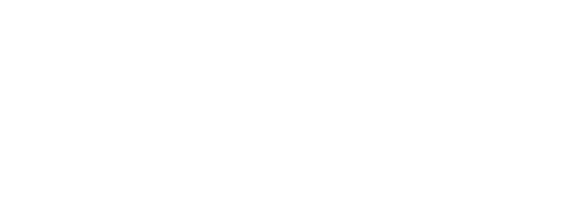 گروه