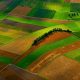 زمین های مناسب برای کشت آنغوزه ( هینگ )